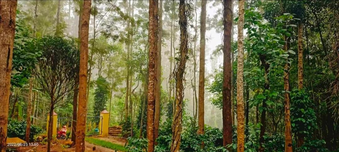 Sp Resort Inn Yercaud Bagian luar foto